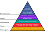 250px-Maslows Hierarchy of Needs.svg 1
